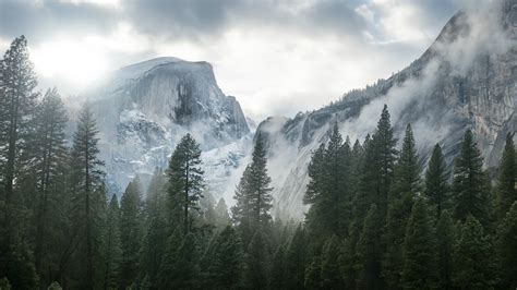 Yosemite National Park Nature Mountain Trees Mist