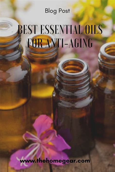 10 Best Essential Oils For Anti Aging Carrier Oils Usage Guide 2020