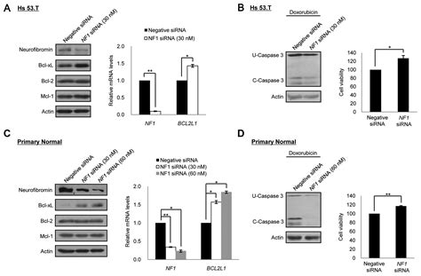 Inhibition Of Bcl Xl By Abt Enhances Chemotherapy Sensitivity In