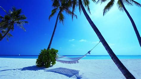 Hammock Maldives Beach Nature Hd Desktop Wallpapers 4k Hd