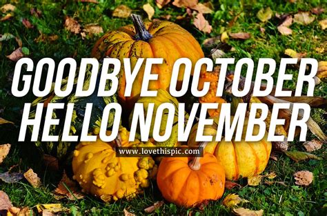 Squash Goodbye October Hello November Pictures Photos And Images For