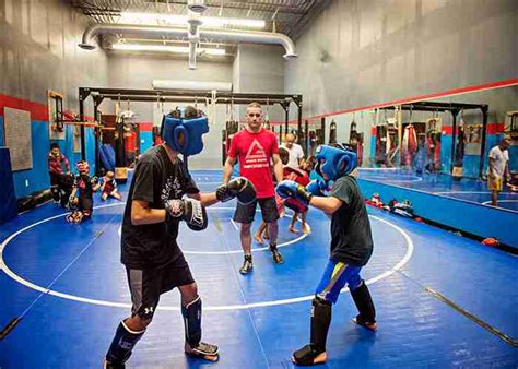 Healthy For Life Bodybuilding Program For Kickboxing Gracie Barra Katy