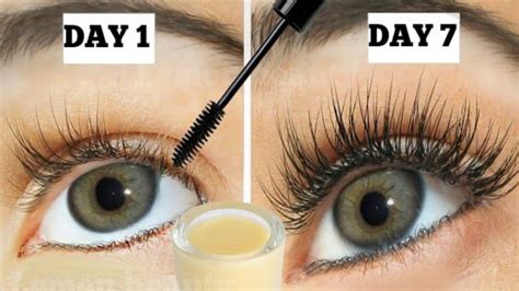 Effective How To Grow Eyebrows Fast In Days