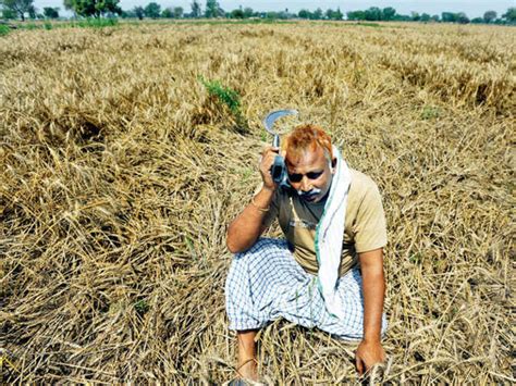 Why Crop Insurance Schemes Fail Poor Farmers When They Are Needed The