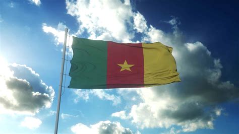 The Flag Of Cameroon History Meaning And Symbolism A Z Animals