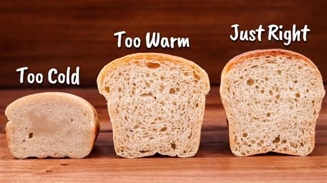 How Bread Dough Temperature Affects Fermentation Principles Of Baking