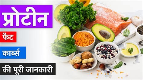 प्रोटीन फैट And Carbs के फायदे Protein Fat And Carbs In Hindi 2021