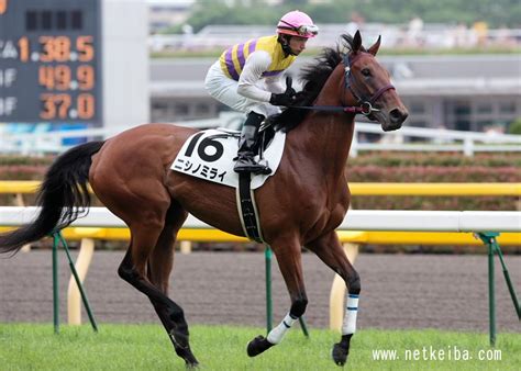 キタサンブラックとは、2012年生まれの 競走馬である。 馬 主はサブちゃんの愛称で親しまれている演歌 歌手の北島三 更に父 ブラックタイドからも初のgⅰ馬。 そして菊花賞史上最重量（530 キロ）での優勝、シンボリルドルフ以来のセントライト記念からの菊. ニシノミライ | 競走馬データ - netkeiba.com