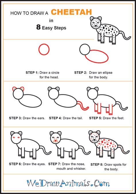 Easy cheetah face drawing gigantesdescalzos com. How to Draw a Simple Cheetah for Kids