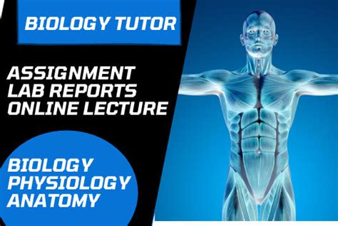 Tutor You Physiology Biology And Anatomy By Onlinetutor Fiverr
