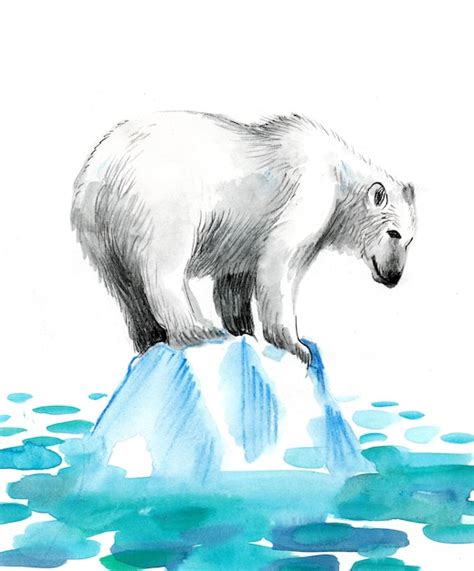 Urso Polar Em Um Peda O De Gelo Desenho A Tinta E Aguarela Foto Premium