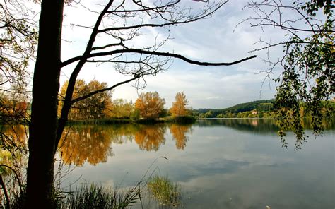 배경 화면 햇빛 나무 경치 호수 자연 반사 잔디 하늘 분기 아침 강 못 습지 가을 잎 꽃 시즌