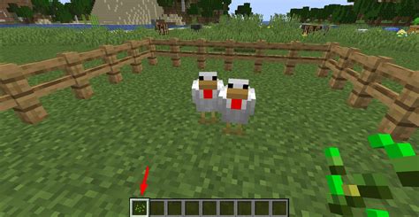 How To Breed A Chicken In Minecraft Linux Consultant
