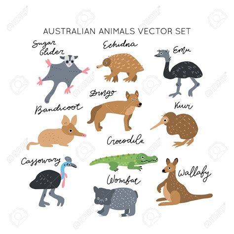 8 Photos Australian Animals For Kids And View Alqu Blog