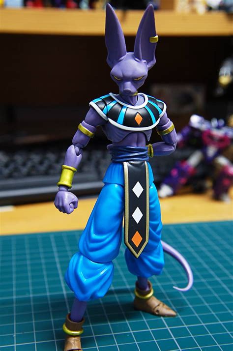 Just like beerus, he resembles a humanoid hairless cat, namely the cornish rex breed. Plastic Heap: Bandai SHF Dragon Ball Beerus