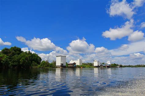 Bebas dari ketergantungan pada musim. Cara Pilih Lokasi Walet Cari Gedung - Dunia Walet