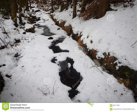 Frozen Creek Covered With Ice In Winter Stock Image Image Of Natural