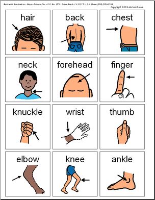 In this worksheet kids can learn about body parts names in tamil. Pin on worksheets