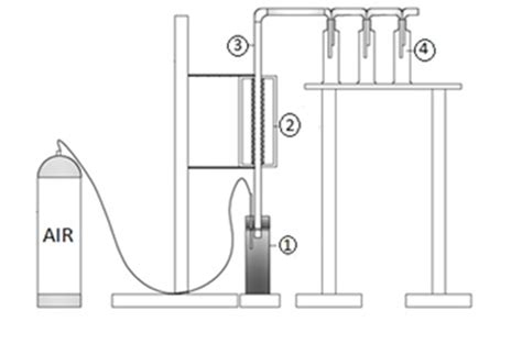 We did not find results for: Schematic drawing of the experimental set-up (1-Ultrasonic ...