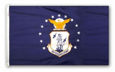 Air National Guard Perma Nyl 3x5 Nylon Flag By Valley Forge Flag