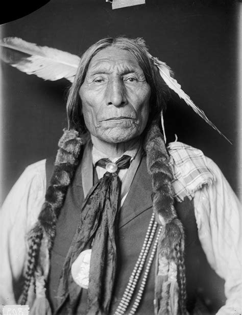 Cheyenne Native American Pictures Native American Beauty American Indian Art Native American