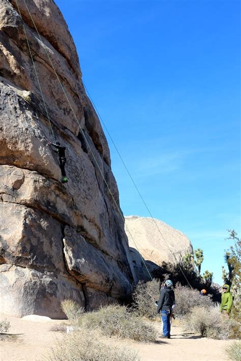 Guide To Joshua Tree National Park Where To Camp Hike Climb And Stay