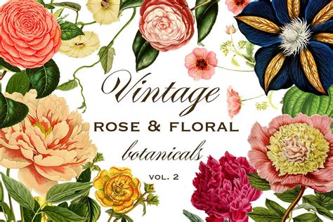 Vintage Rose And Floral Botanicals Graphics Vol 2 Avalon
