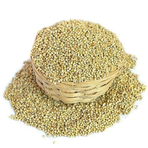 Organic Green Millets For Cooking Gluten Free At Rs 72kg In Nashik