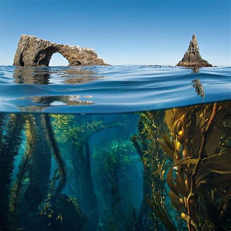 59 Incredible Of Americas 59 National Parks Channel Islands National