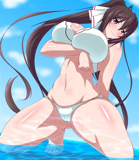 Infinite Stratos Anime Shinonono Houki Hd Phone Wallpaper Pxfuel Hot Sex Picture
