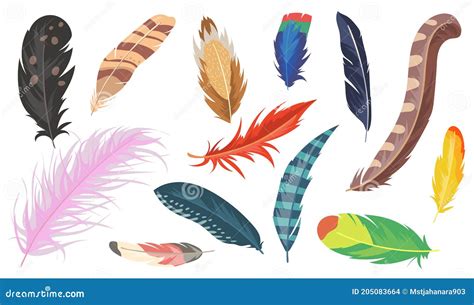 Variety Of Colorful Feathers Flat Item Set Stock Vector Illustration