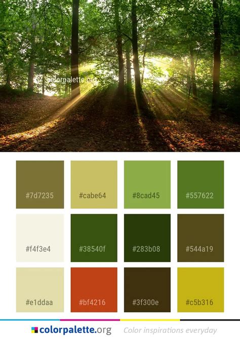 Forest Green Color Palette