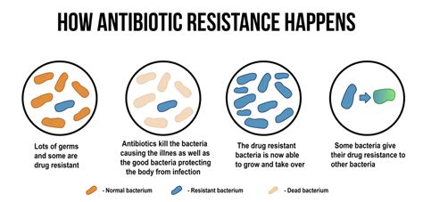 antimicrobial resistance the silent threat current affairs