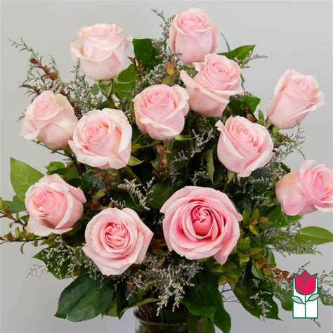 Non Valentine Beretanias Extra Long Stem Pink Rose Masterpiece 30