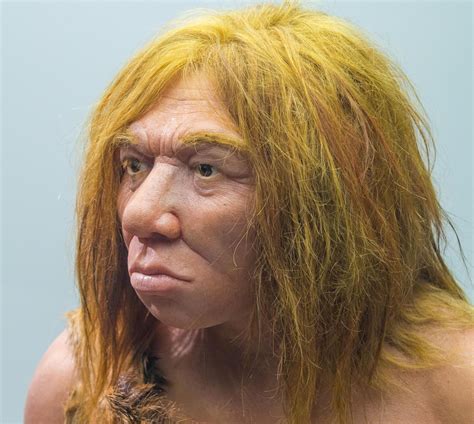 Neanderthals Went Extinct Due To Inbreeding And Small Populations Not