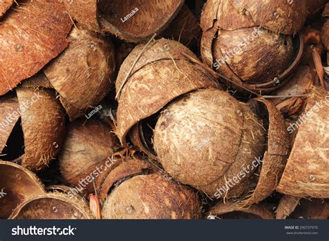 Coconut Shell Images Photos Et Images Vectorielles De Stock