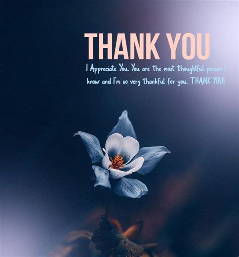 147 Best Thank You Messages Wishes Be Thankful Appreciation Quotes