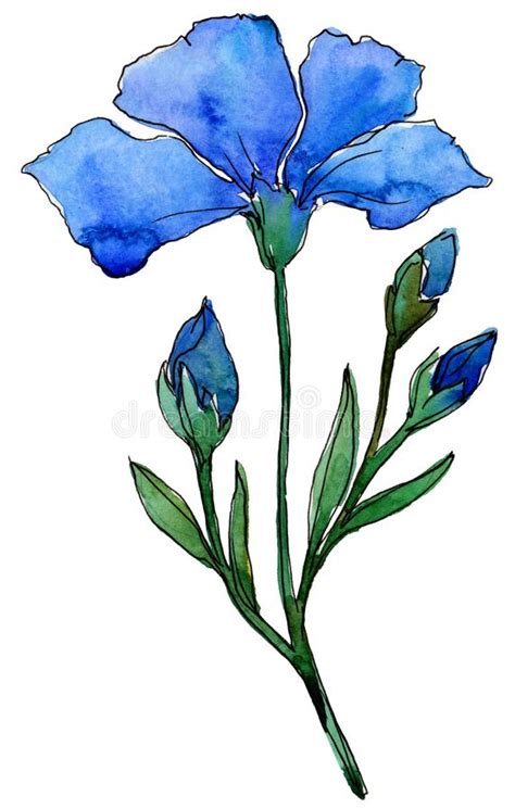 Blue Flax Floral Botanical Flower Wild Spring Leaf Wildflower