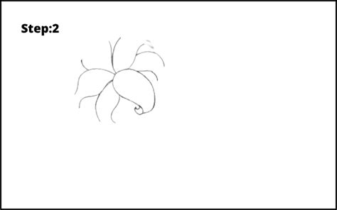 Lilies Drawing Flower Drawing Lily Flower Learn To Draw Easy