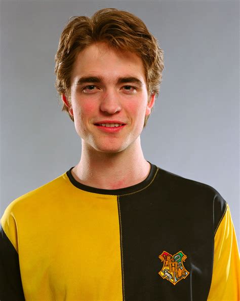 Portrait Of Cedric Diggory In His Third Task Robes — Harry Potter Fan Zone