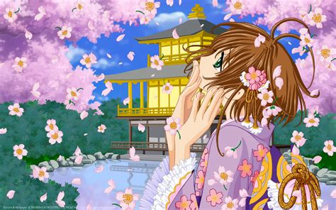 Princess Sakura Tsubasa Reservoir Chronicle Hd Wallpaper 292253