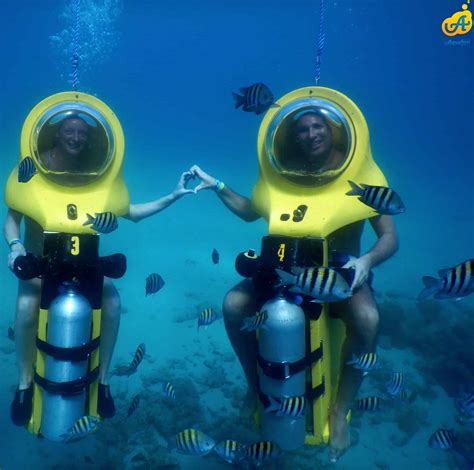 Aquafari In Curacao Tour Curacao Activities 2022