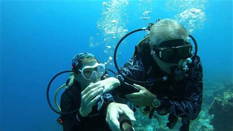 Bonaire - Alice In Wonderland Dive Site - 20220520 - YouTube