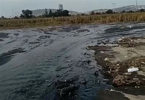 Piden En Huejotzingo Frenar Descargas De Aguas Negras Al Río Xochiac Municipios Puebla