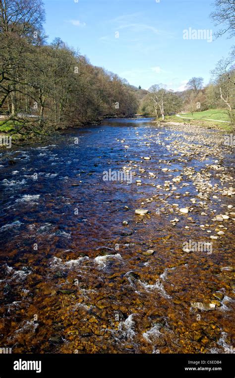 The River Wharfe Running Through The Grounds Of Bolton Abbey In North