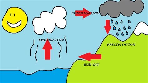 When it rains, discuss how this happens with your child. The Water Cycle - ThingLink | Water cycle diagram, Cycle ...