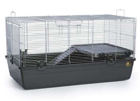 6 Best Guinea Pig Cages For 2 Pigs Guineahub