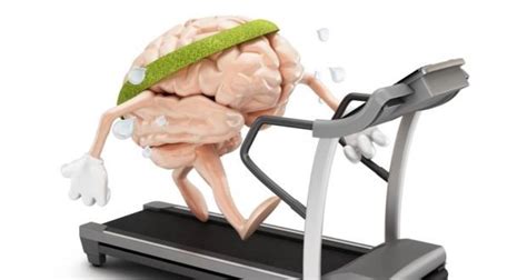 the best exercise to improve brain function — steemit