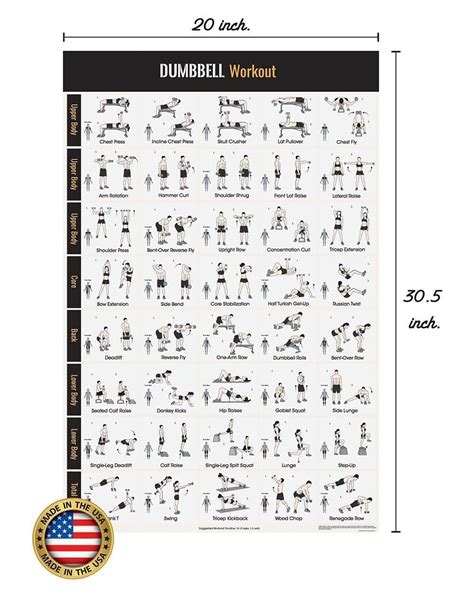 Dumbbell Workout Exercise Poster Home Gym Dumbbell Workouts