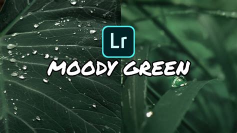We are providing this free ritesh creation moody warm preset for you to download. Moody Green Presets - Lightroom Mobile FREE PRESET | Moody ...